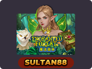 Enchanted Forest